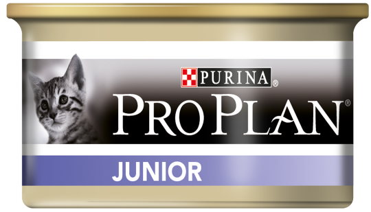 Pro Plan Junior
