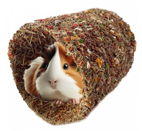 Лакомство для грызунов Smile King домик-туннель для морских свинок