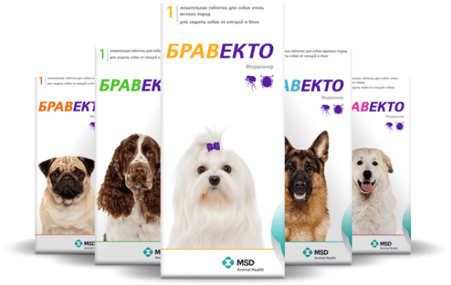 Intervet Бравекто жевательная таблетка для собак