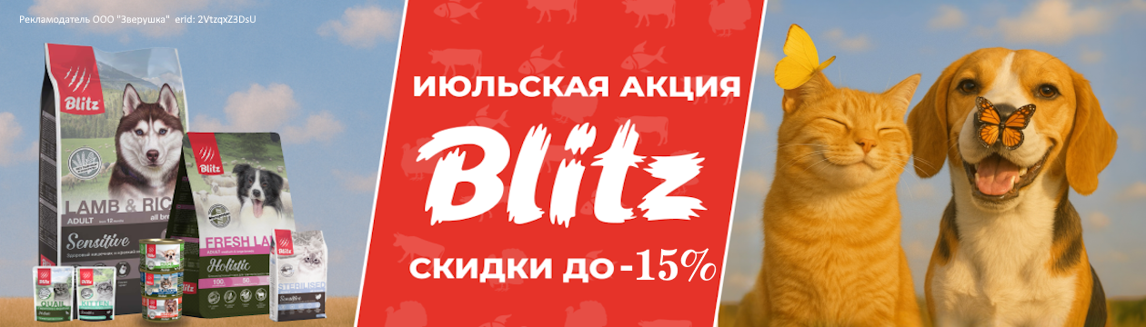 Июльские скидки на Blitz