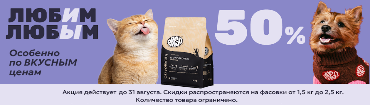 ENSO по вкусным ценам