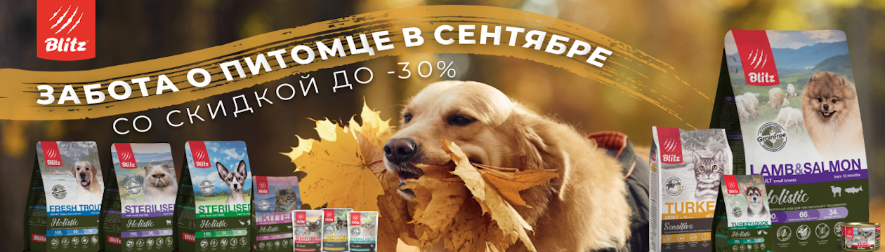 Blitz. Сентябрь