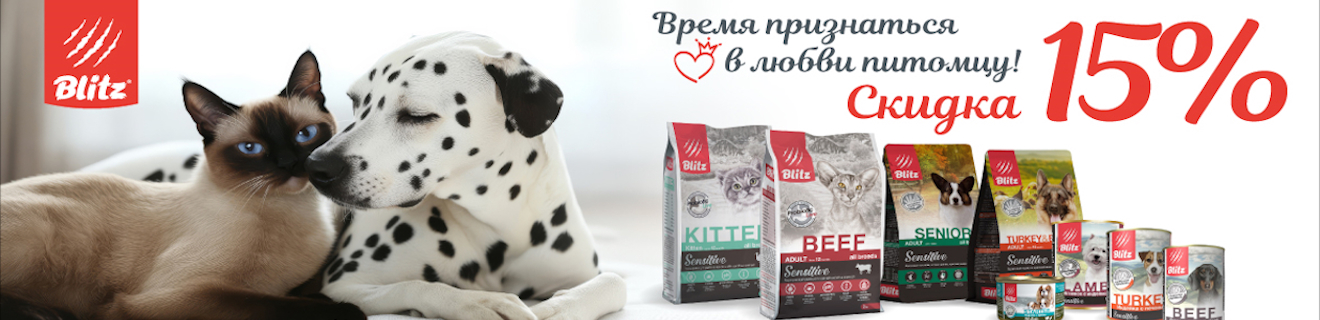 Blitz. Февральский SALE