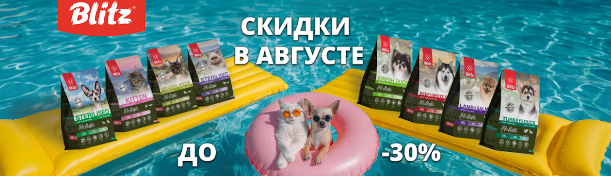 Blitz. Жаркий август