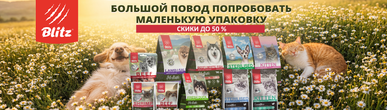 Blitz. Скидки до 50%