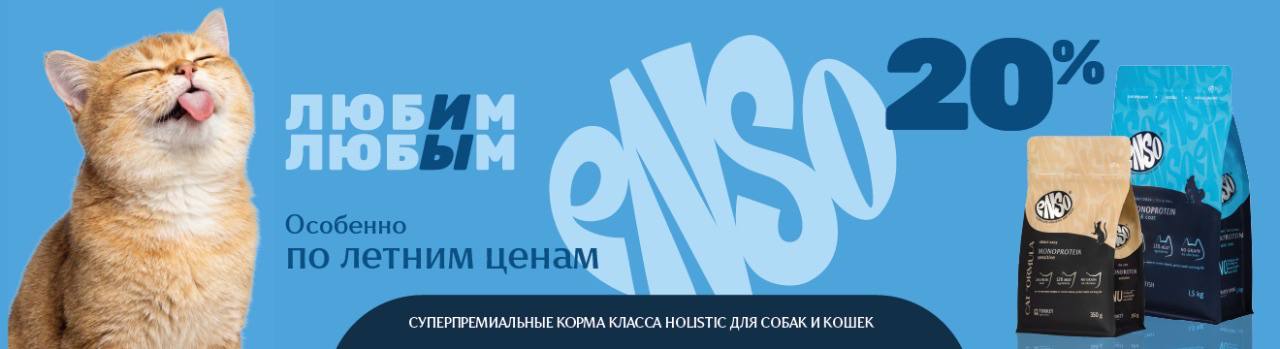 Летние цены на ENSO