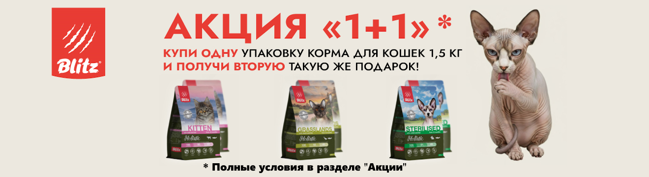 Blitz. Акция 1+1