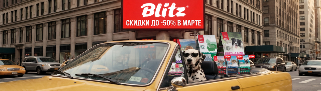 Март с Blitz