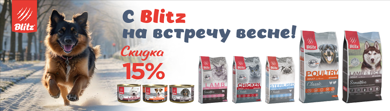 С Blitz на встречу весне