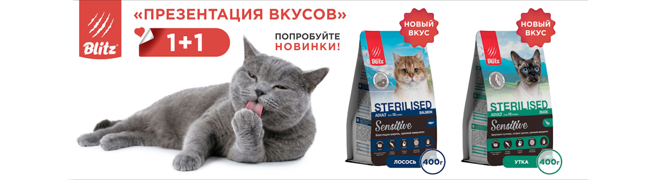 Презентация вкусов