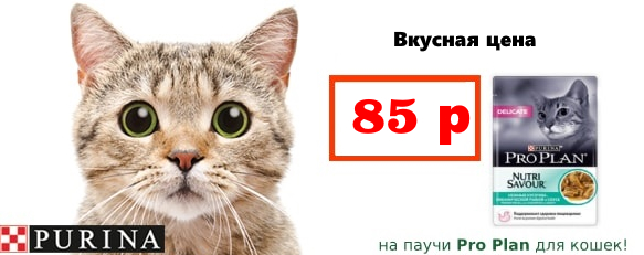 Вкусная цена на паучи ПроПлан